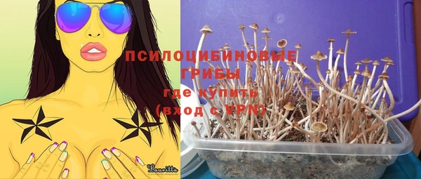 гидропоника Алексеевка
