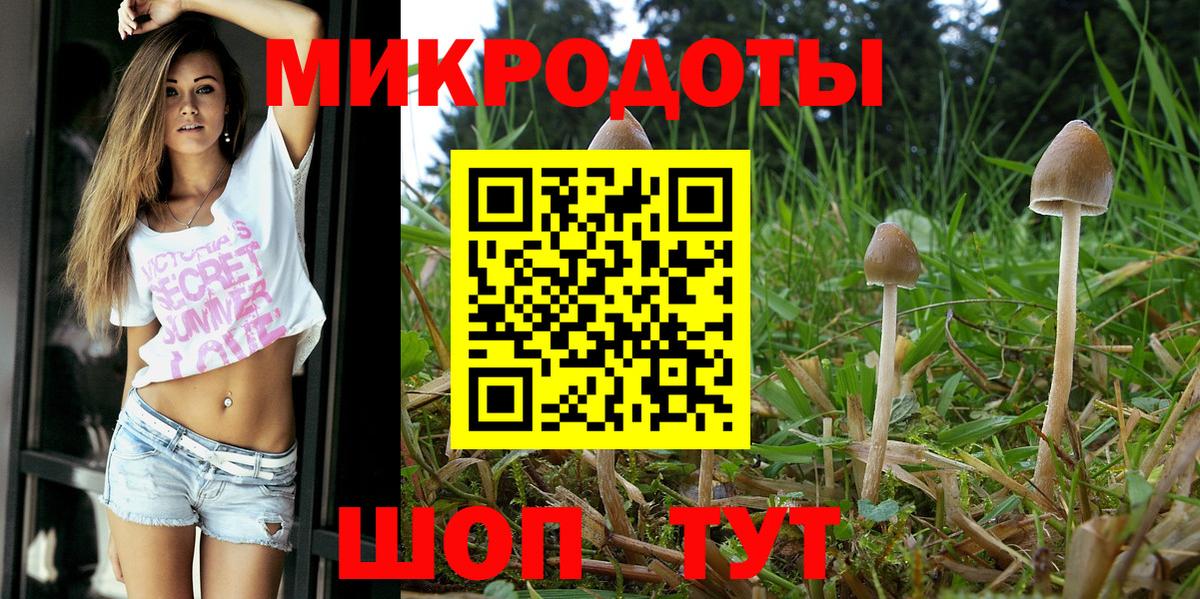 купить наркотик  Вход с VPN  Качканар  Псилоцибиновые грибы ЛСД 