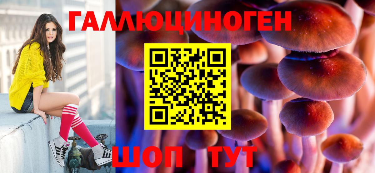 Галлюциногенные грибы прущие грибы Качканар